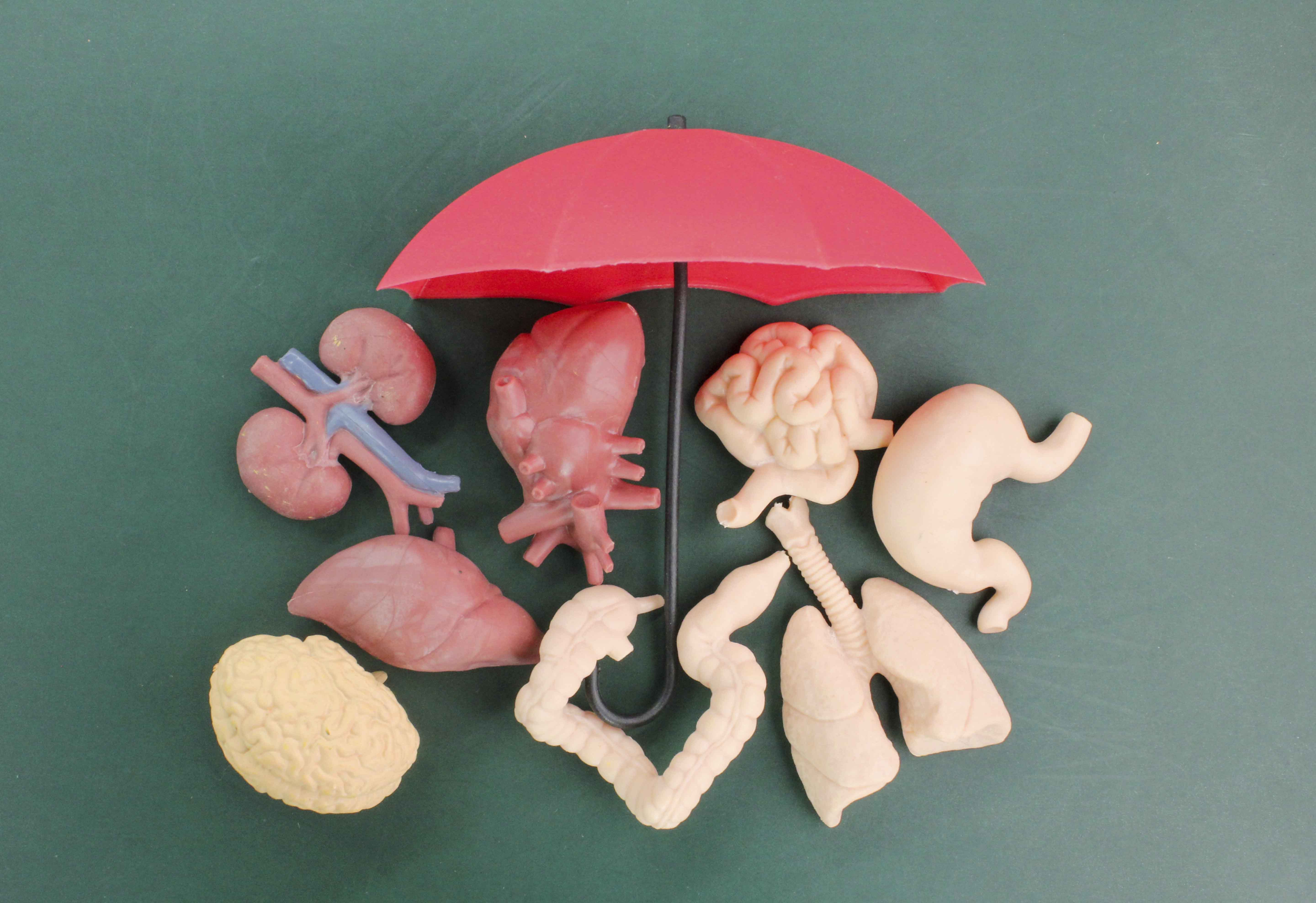 IT Support & Managed Services