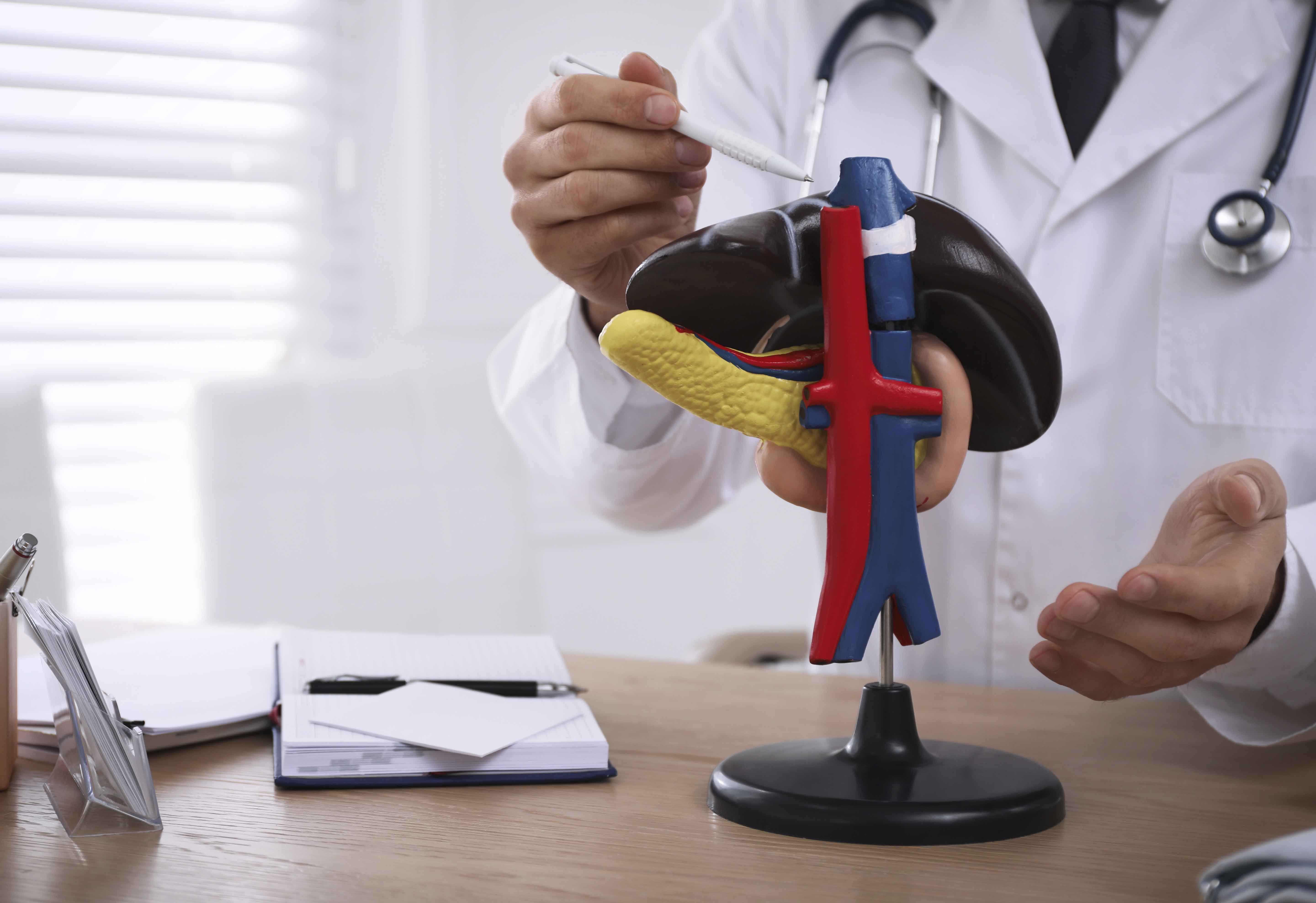 IT Support & Managed Services